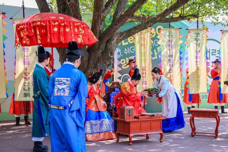 Yangpyeong Yongmunsan Wild Vegetable Festival