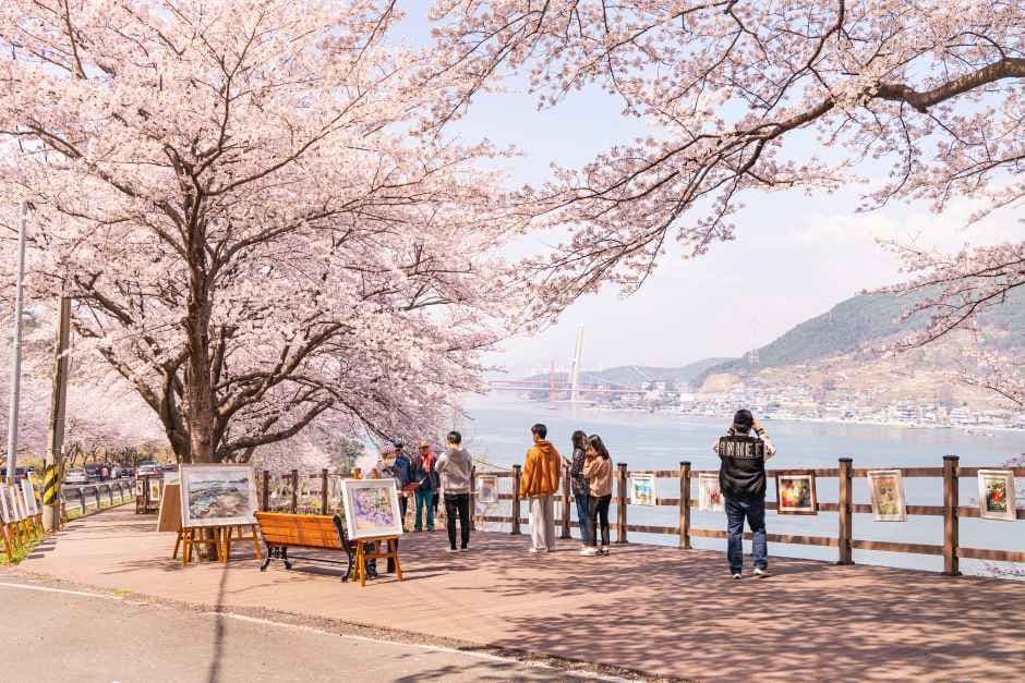 Blooming Namhae, Visiting Namhae