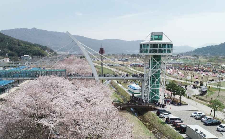 Mulgeum Cherry Blossom Festival