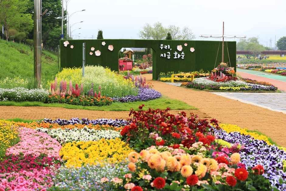Hwasun Spring Flower Festival