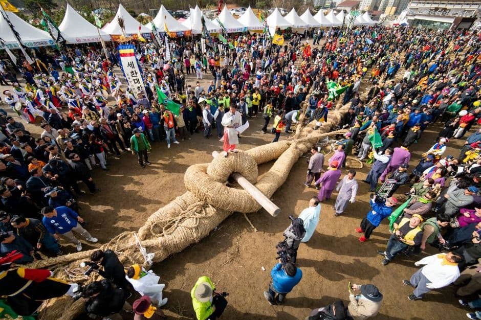 Gijisi Juldarigi Folk Festival (기지시줄다리기 민속축제)