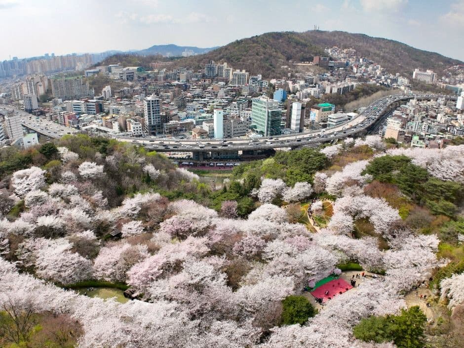 Seodaemun Spring Light Festival