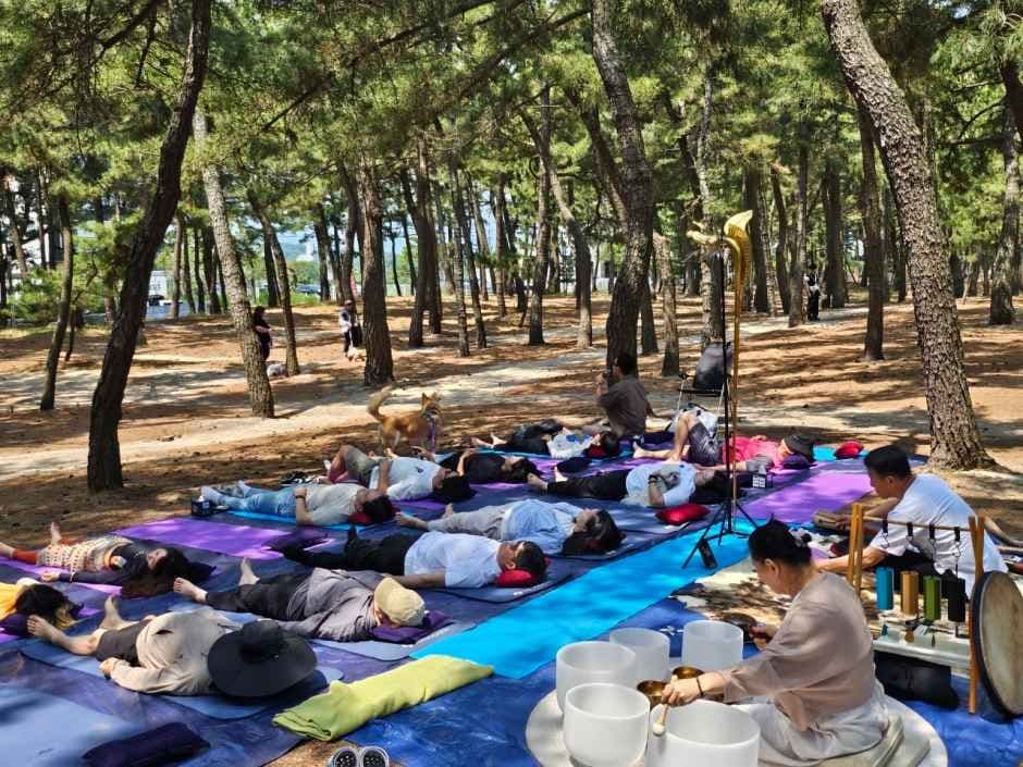Gangneung Marine Leisure Pet Family Healing Festival