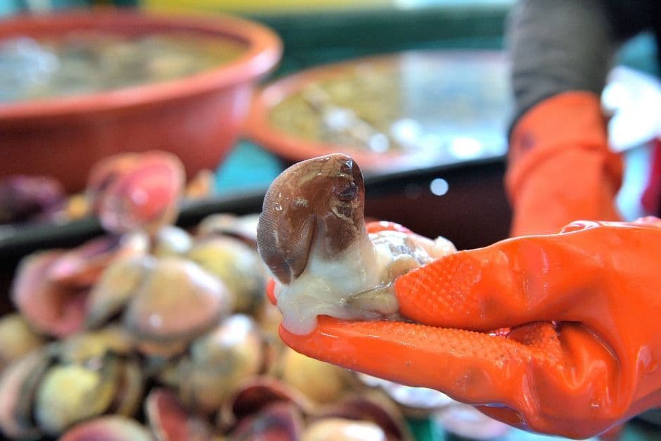 Hongseong Namdang Port Surf Clam Festival