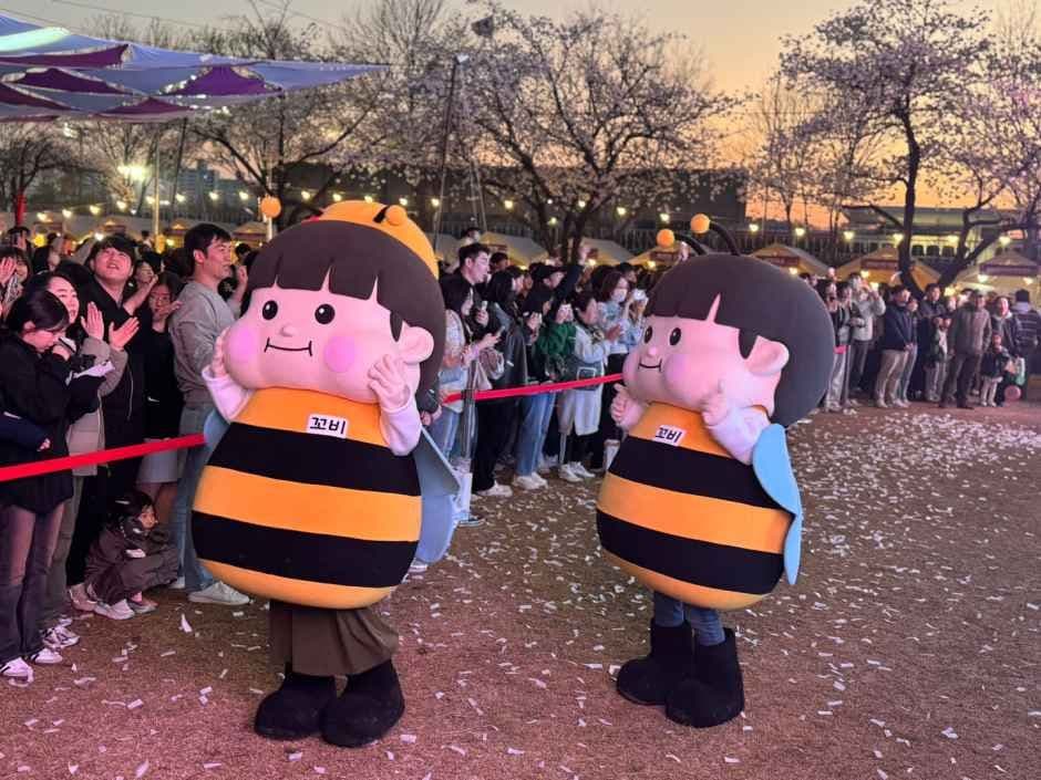 Gimje Flower Light Festival