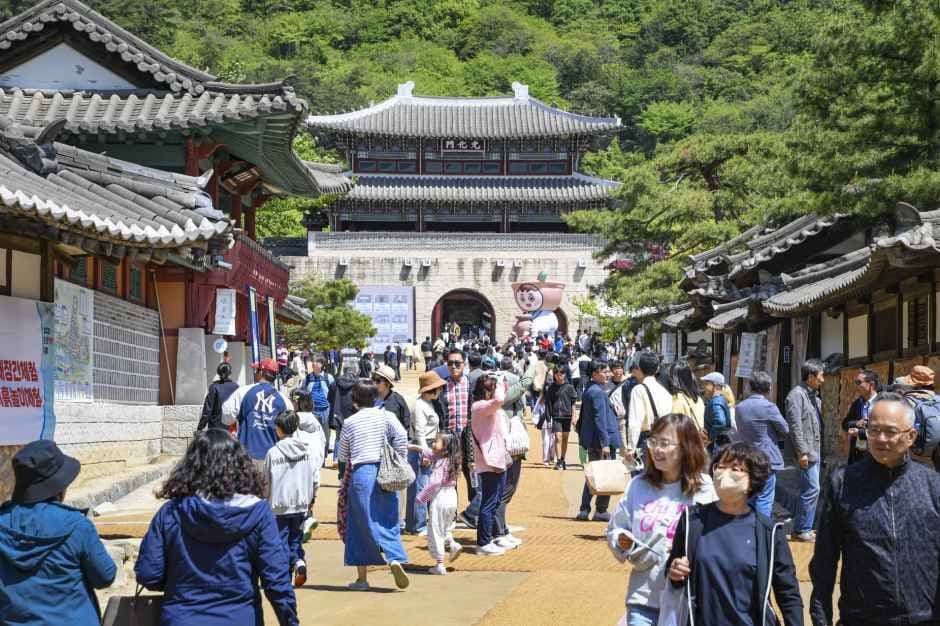 Mungyeong Tea Bowl Festival