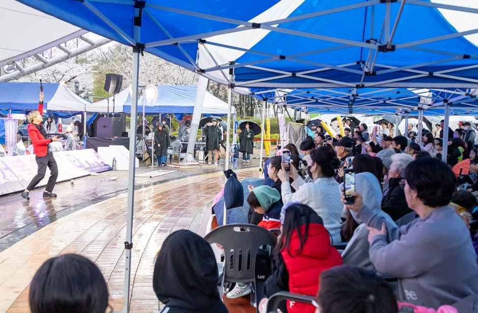 Gangseo Spring Light Festa