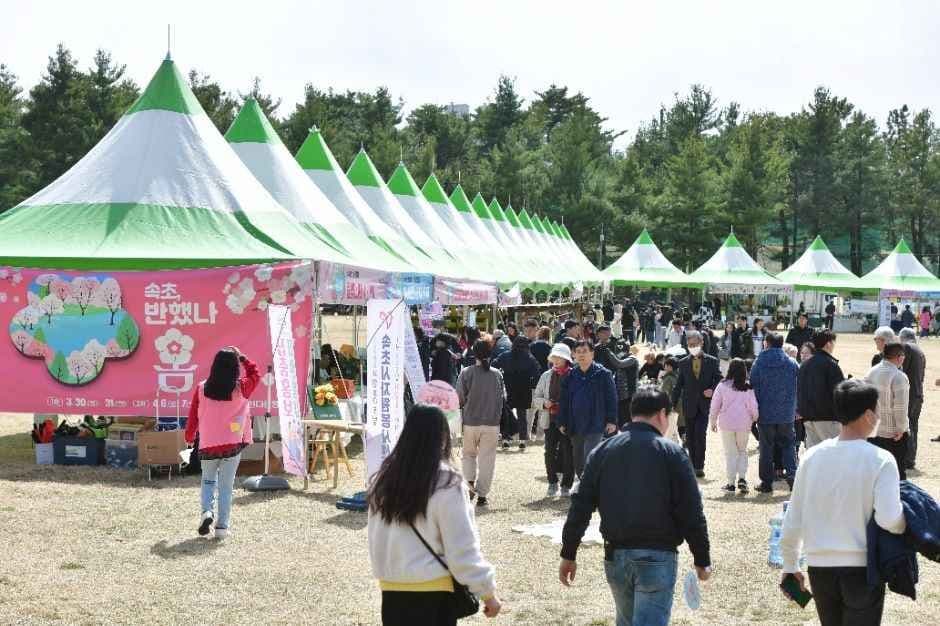 Yeongnangho Cherry Blossom Festival