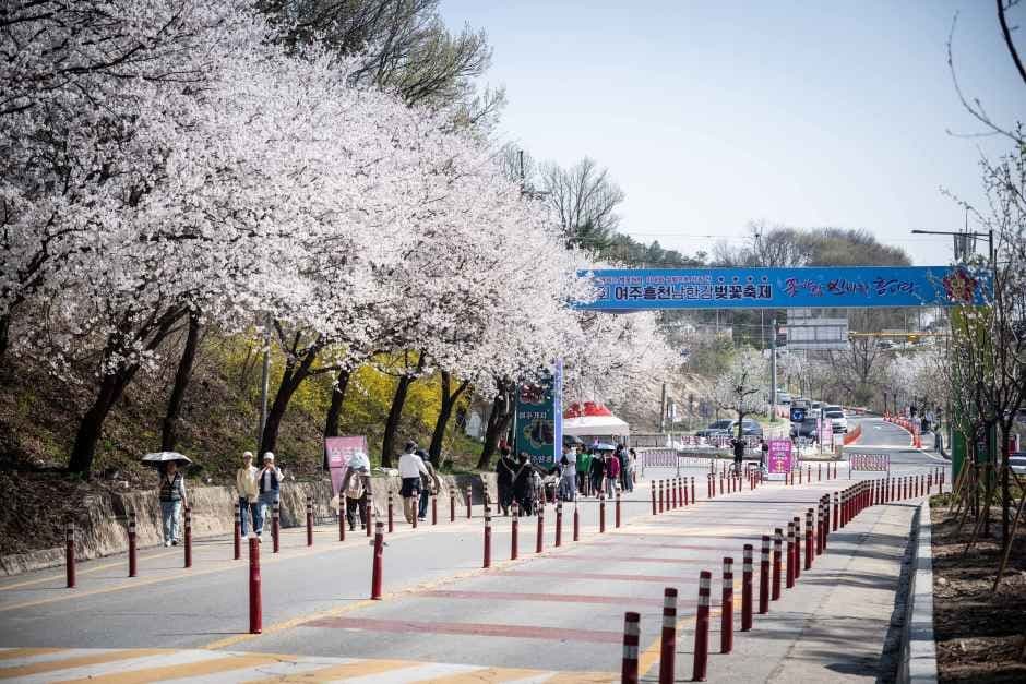 Yeoju Heungcheon Namhangang Cherry Blossom Festival