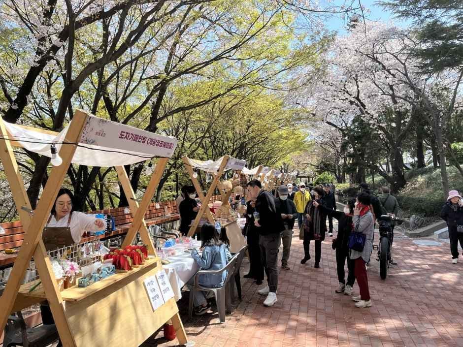Jayu Park Cherry Blossom Festival